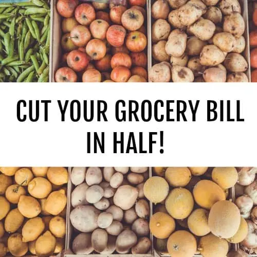 Looking to save money easily? These tips will help you slash your spending at the grocery store.Tons of ideas to save money on groceries and cut your food budget. If you want to live a frugal live, these tips and tricks will help you save money on your grocery list. Learn how extreme savers shop on a budget. Great list for SAHM and college students who need to cut costs quickly. Spend less on your next visit to the supermarket with these money-saving ideas