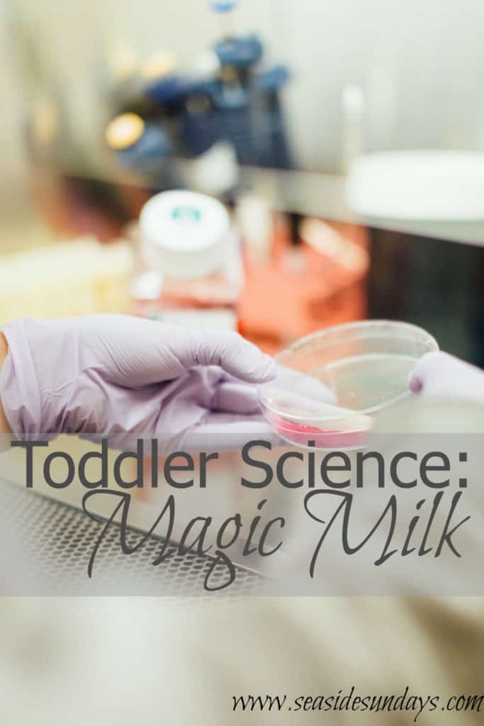 Toddler Science activity magic milk