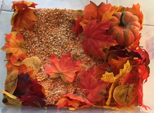 fall sensory bin