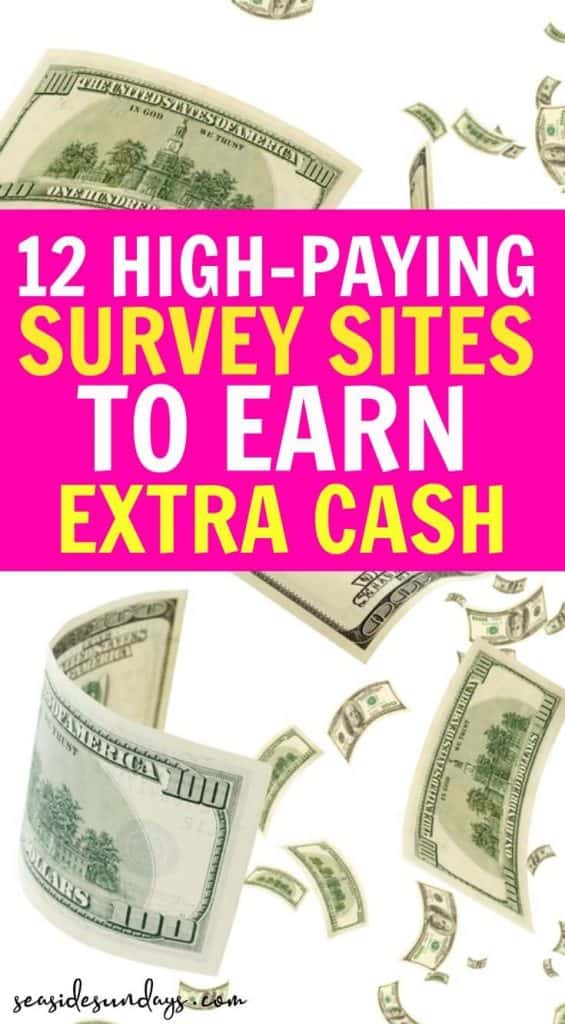 Can You Really Make Money Taking Online Surveys?