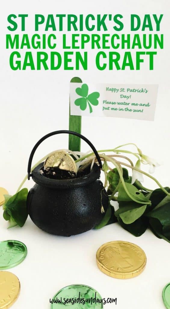 This is such a cute St Patrick's day craft! We made it at our St Patrick's Day party and all the kids took one home as a party favor. It's such a fun kid's activity that would be great for all ages, from preschooler to older kids. They can plant a shamrock and decorate their pot of gold with coins. 
