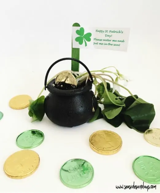 St Patrick's Day craft magic leprechaun garden craft for kids. Make a pot of gold activity