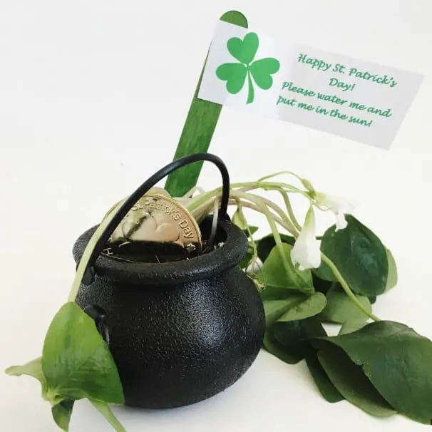 St Patrick's Day craft magic leprechaun garden craft for kids. Make a pot of gold activity