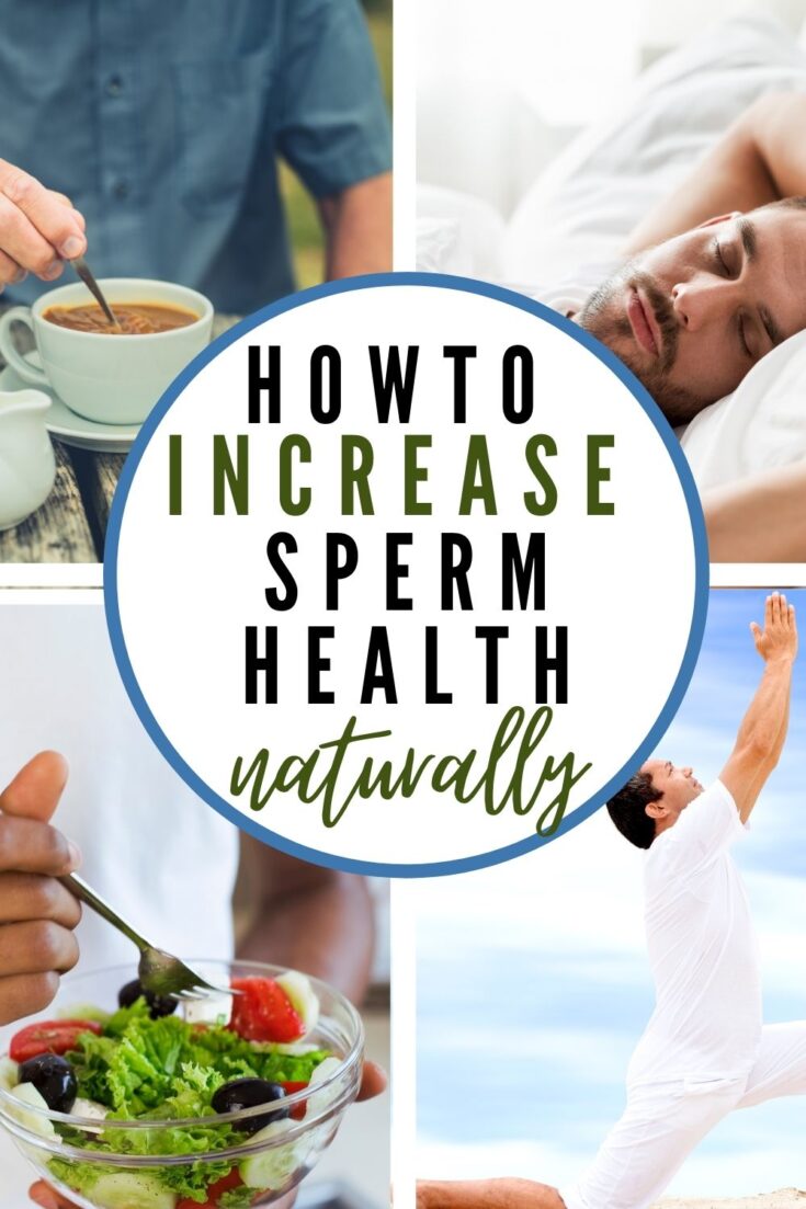 how to increase sperm count