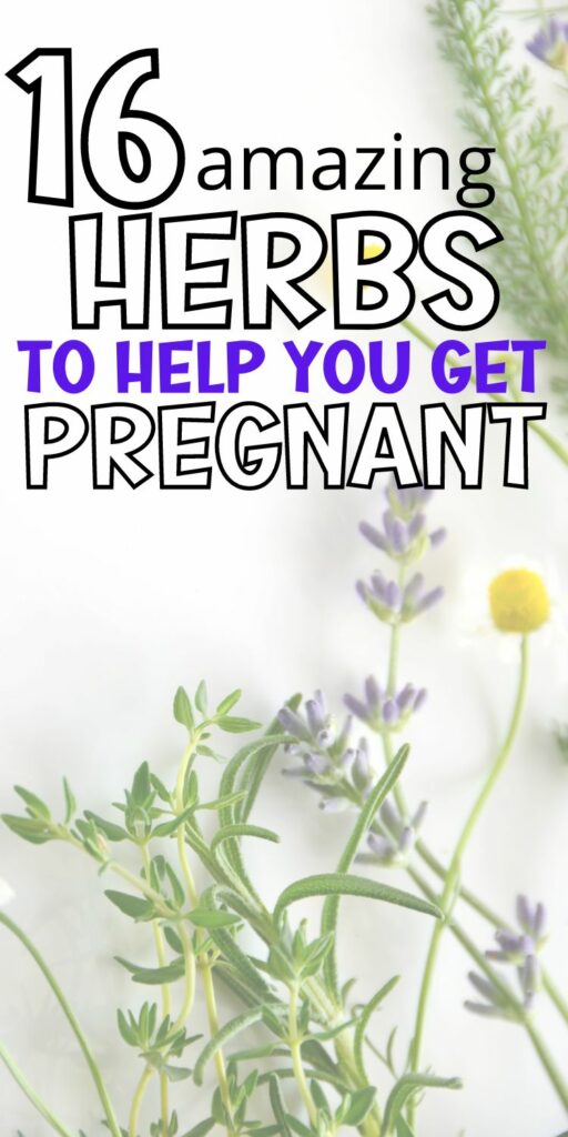 16 Fertility Herbs To Help You Get Pregnant Naturally
