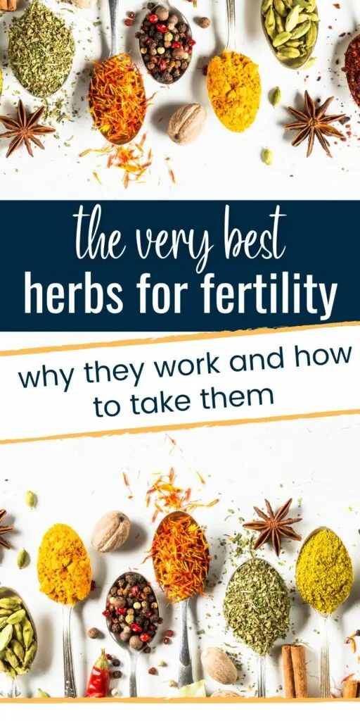pregnancy herbs to get pregnant