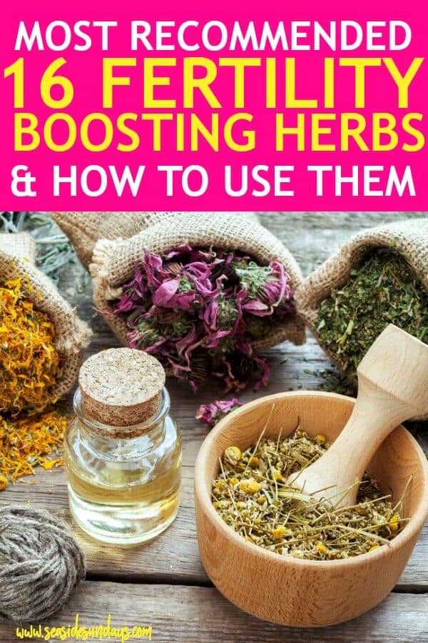 16 Fertility Herbs To Help You Get Pregnant Fast 