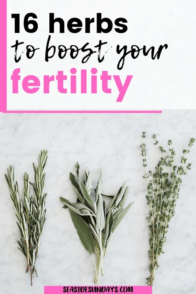 fertility herbs 