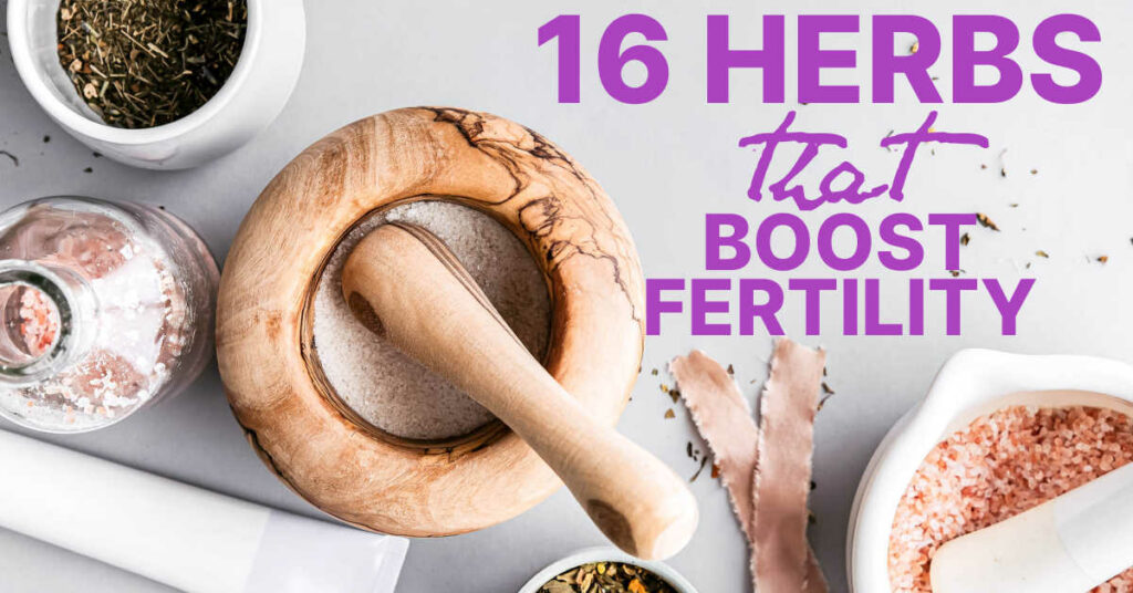 chinese-herbs-for-fertility-how-and-when-should-i-use-them-guide