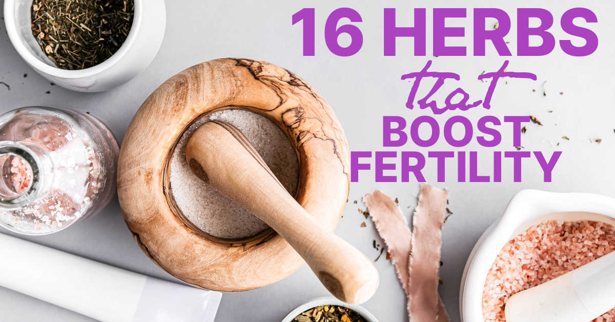 herbs that boost fertility
