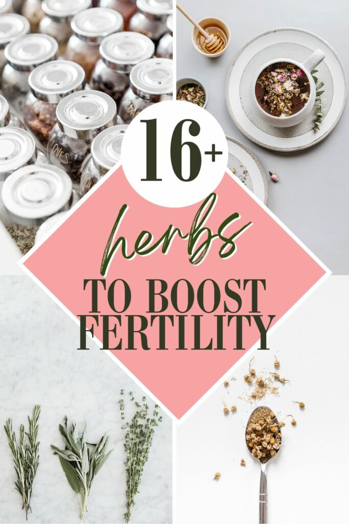 herbs for fertility
