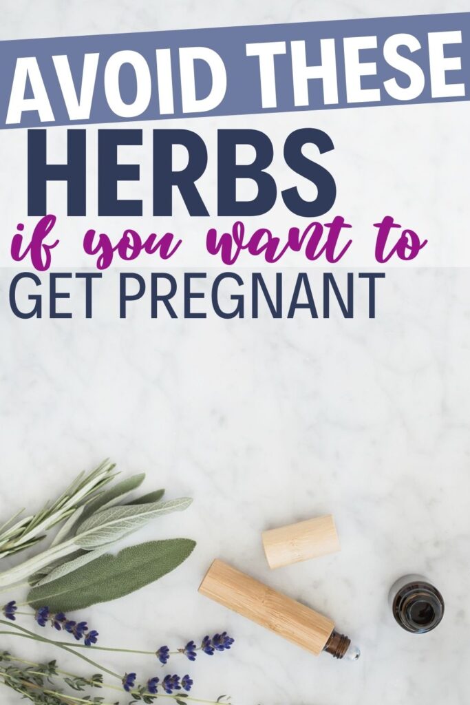 HERBS TO AVOID WHEN TRYING TO CONCEIVE