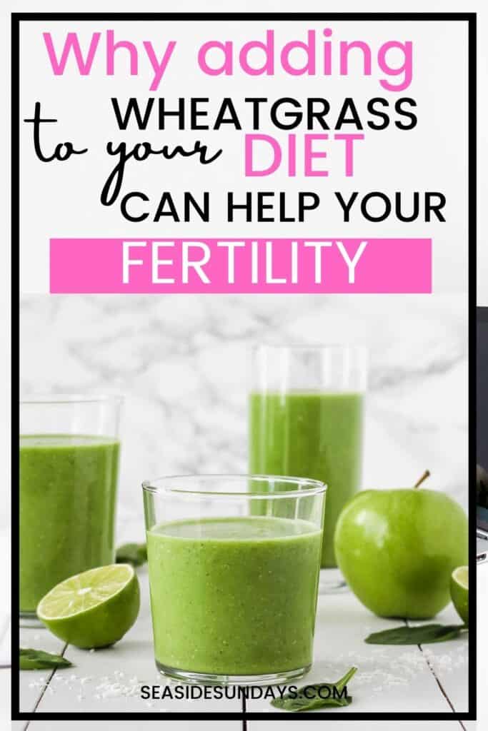 The Incredible Benefits Of Wheatgrass For Fertility Seaside Sundays