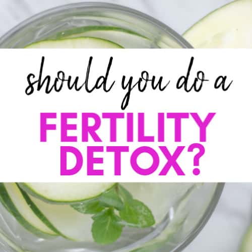 Herbs For A Fertility Cleanse (Should you use them?)