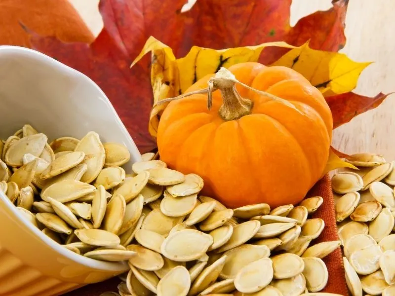 pumpkin seeds can help fertility and implantation