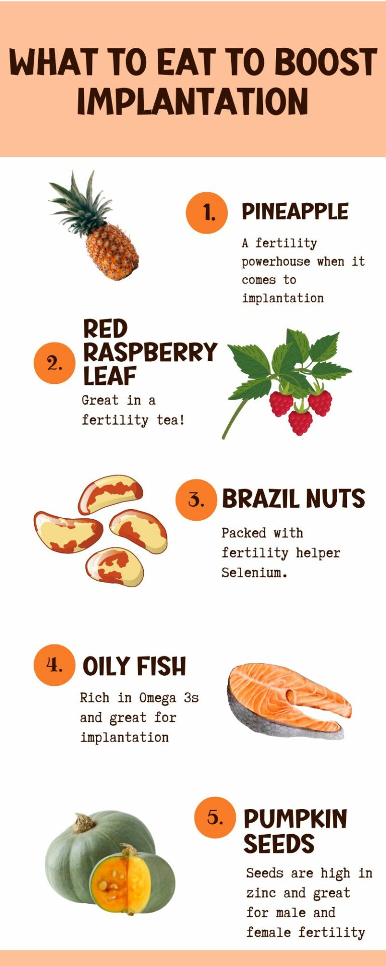 Top 5 Fertility Foods To Help Implantation