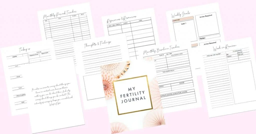 printable fertility journal