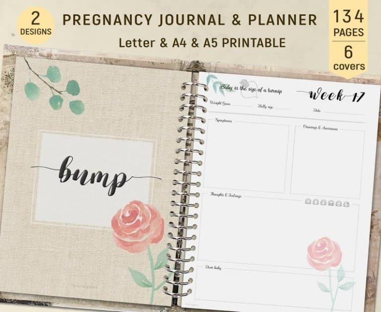 The Best Pregnancy Journal Picks Of 2023