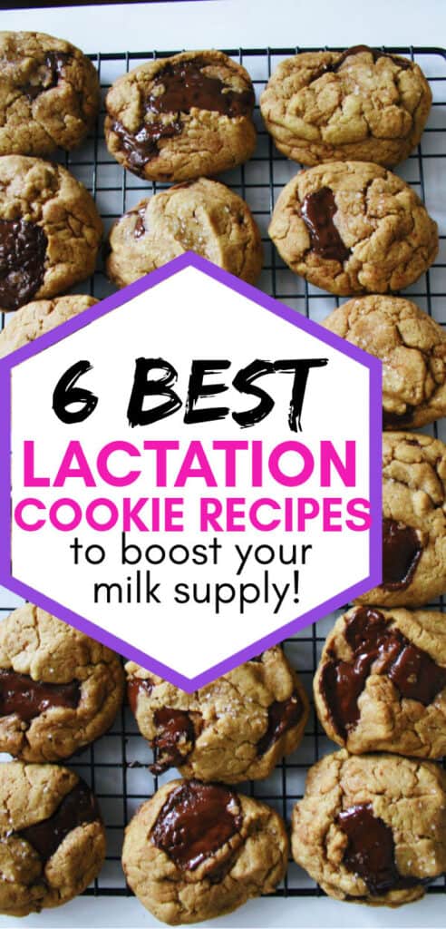 Best lactation cookie recipes