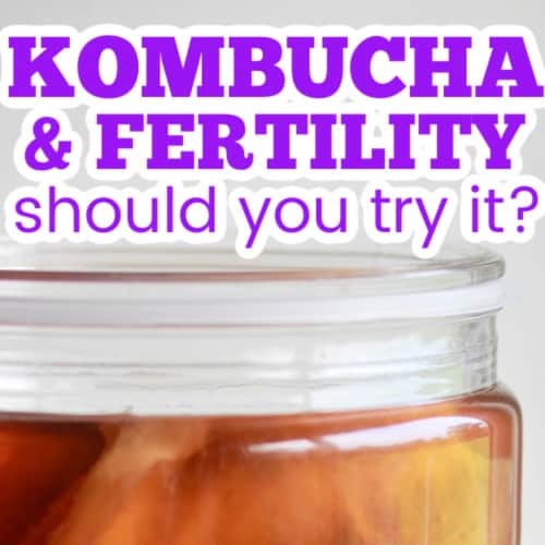 Kombucha And Fertility What You Need To Know Seaside Sundays