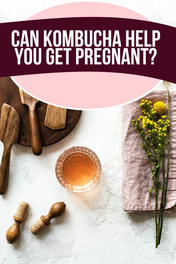 kombucha and fertility