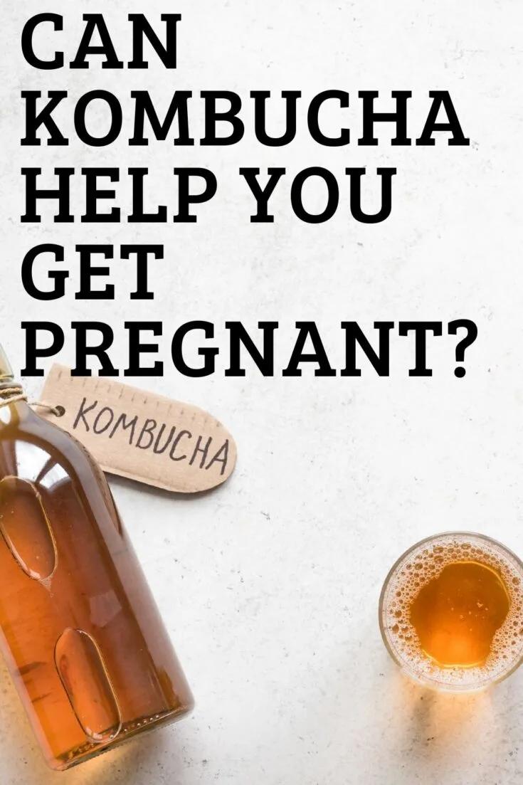 kombucha and fertility