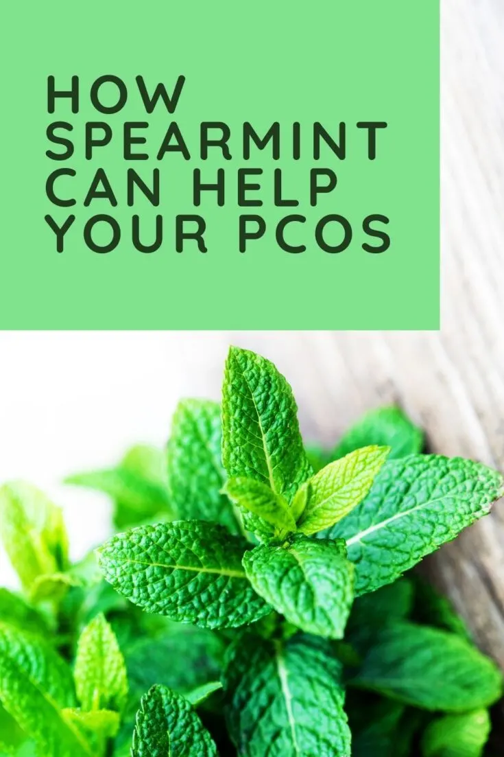 HOW TO USE SPEARMINT FOR PCOS