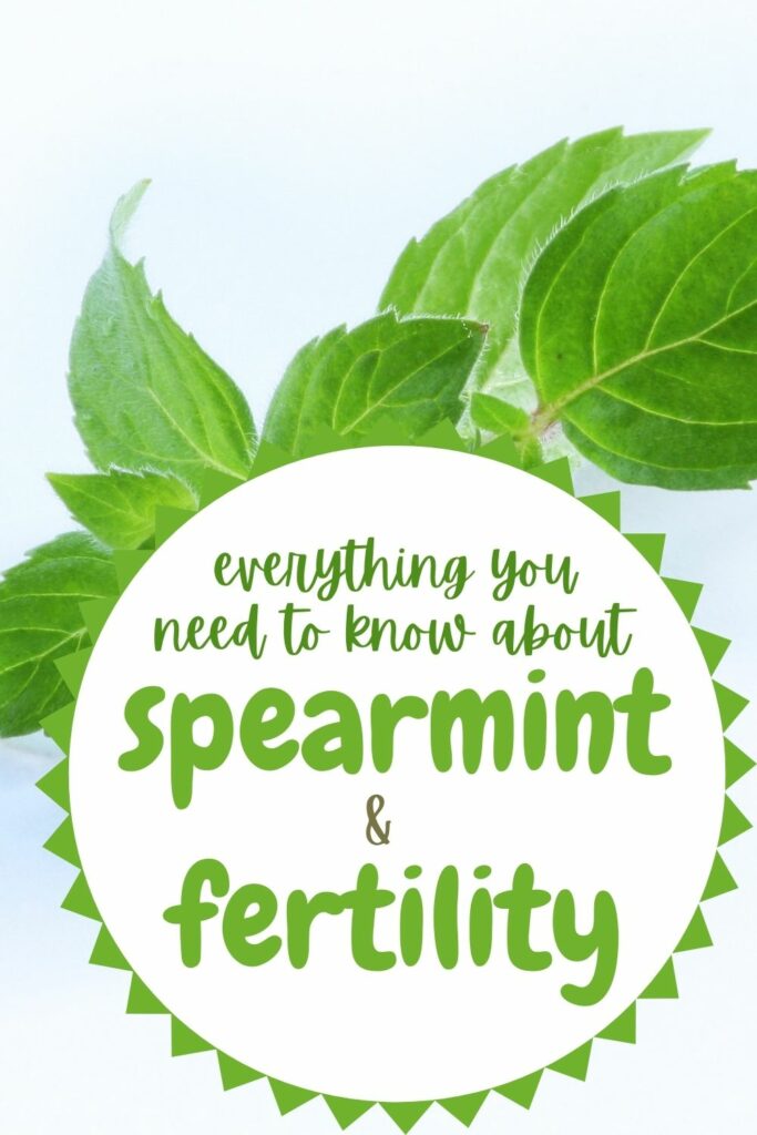 spearmint and fertility