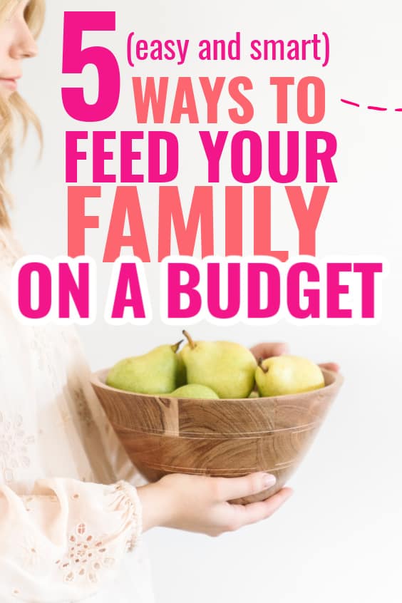 How to feed a family on a budget