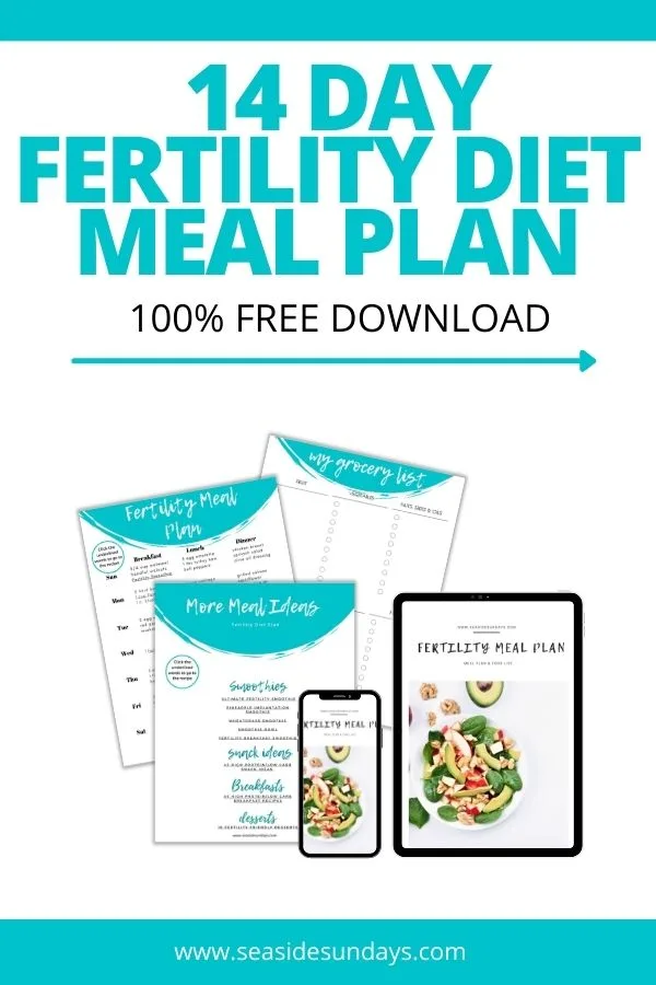 Free 14 day fertility diet meal plan