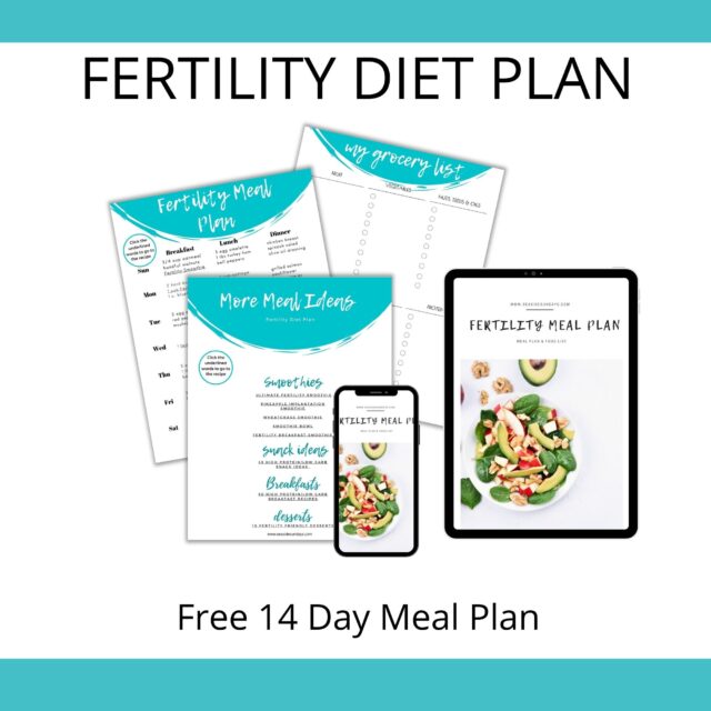 Free 14 Day Fertility Diet Meal Plan Seaside Sundays