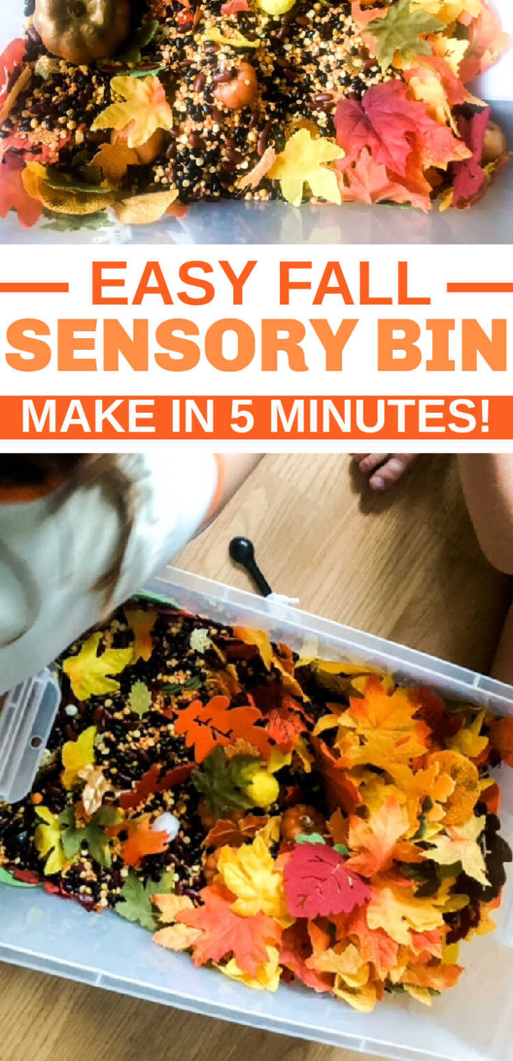 FALL SESNORY BIN FOR TODDLERS