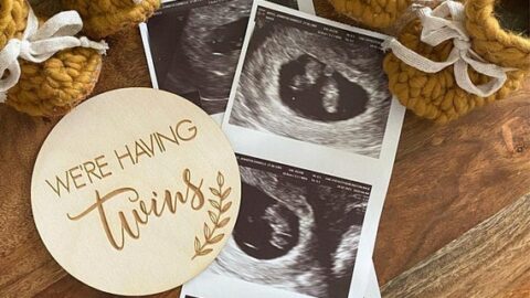 Image for We're Having Twins Sign 