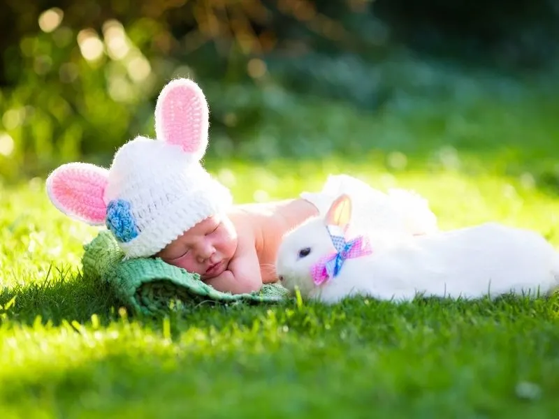 newborn Easter picture ideas