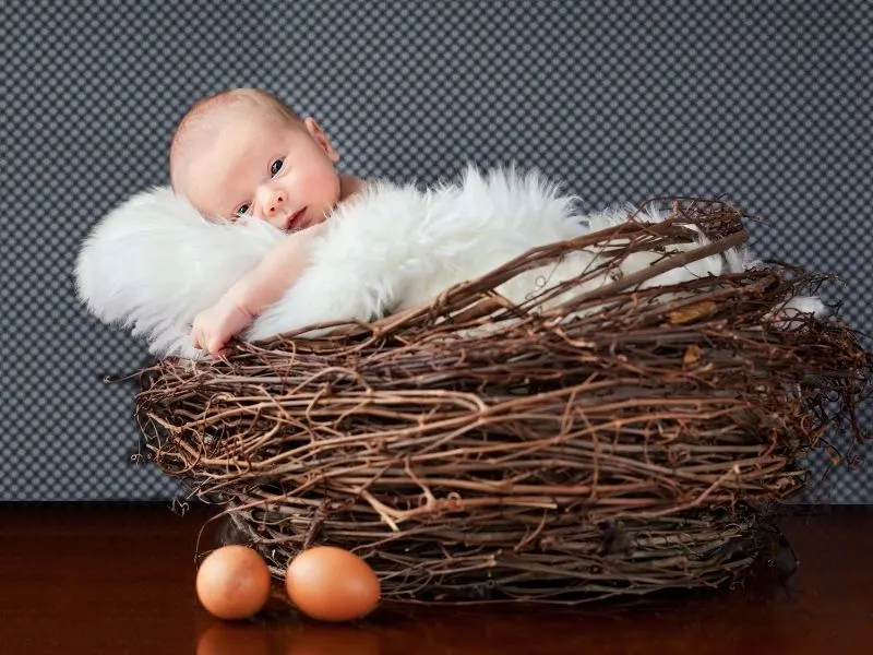 newborn easter photo ideas