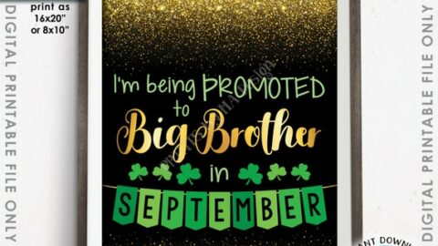 Image for Big Brother Pregnancy Announcement