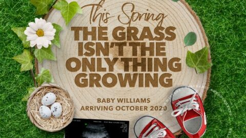 Image for Spring Pregnancy Announcement