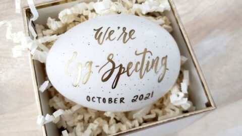 Image for Ceramic Easter Egg Pregnancy Announcement