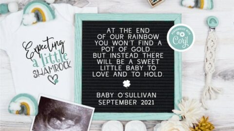 Image for Pregnancy At The End Of The Rainbow