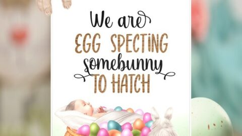 Image for Pregnancy Announcement Poster 