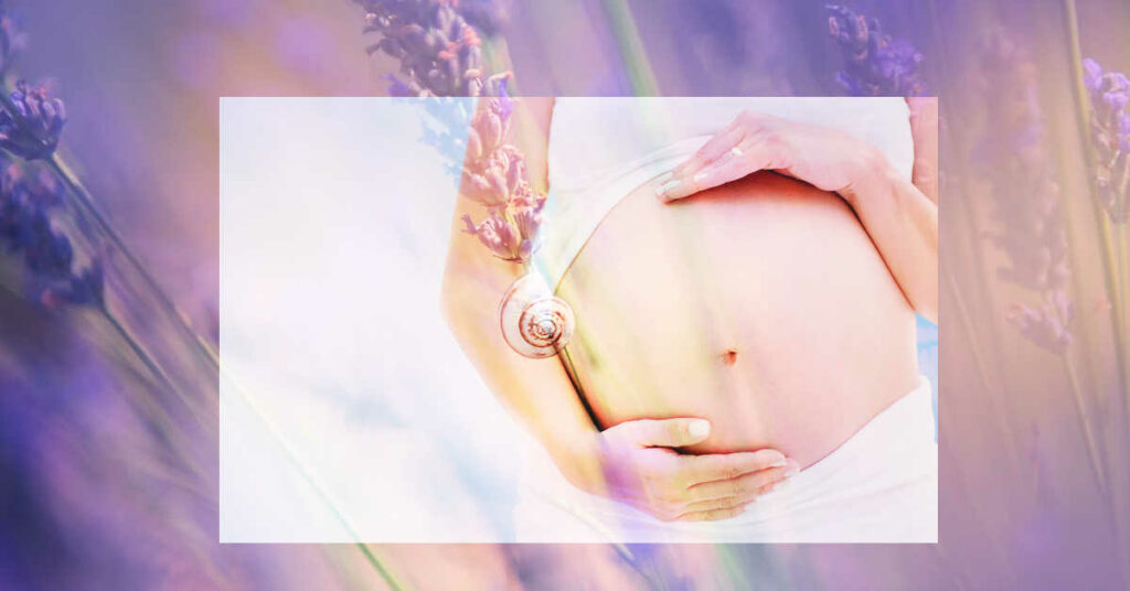 fertility glossary