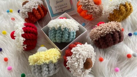 cute knitted cupcake pregnancy announcement