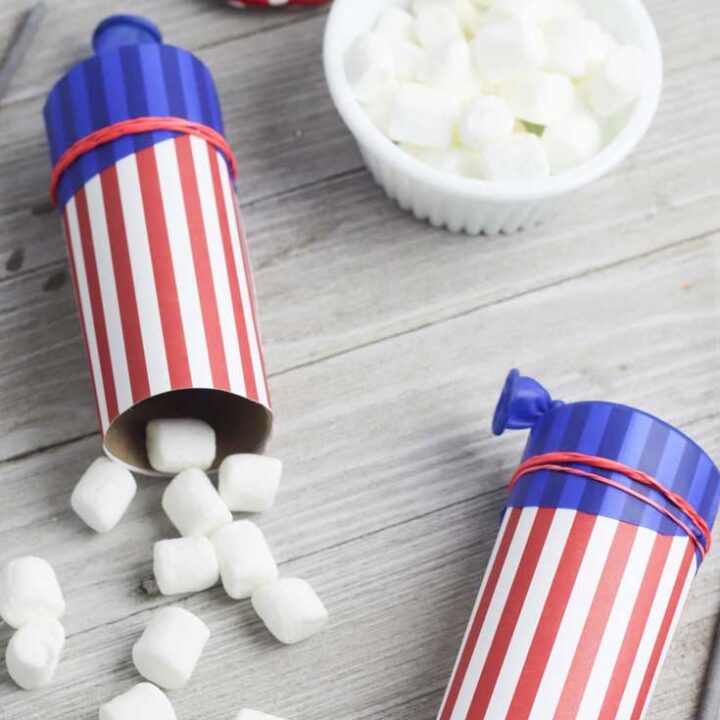 Marshmallow shooter craft