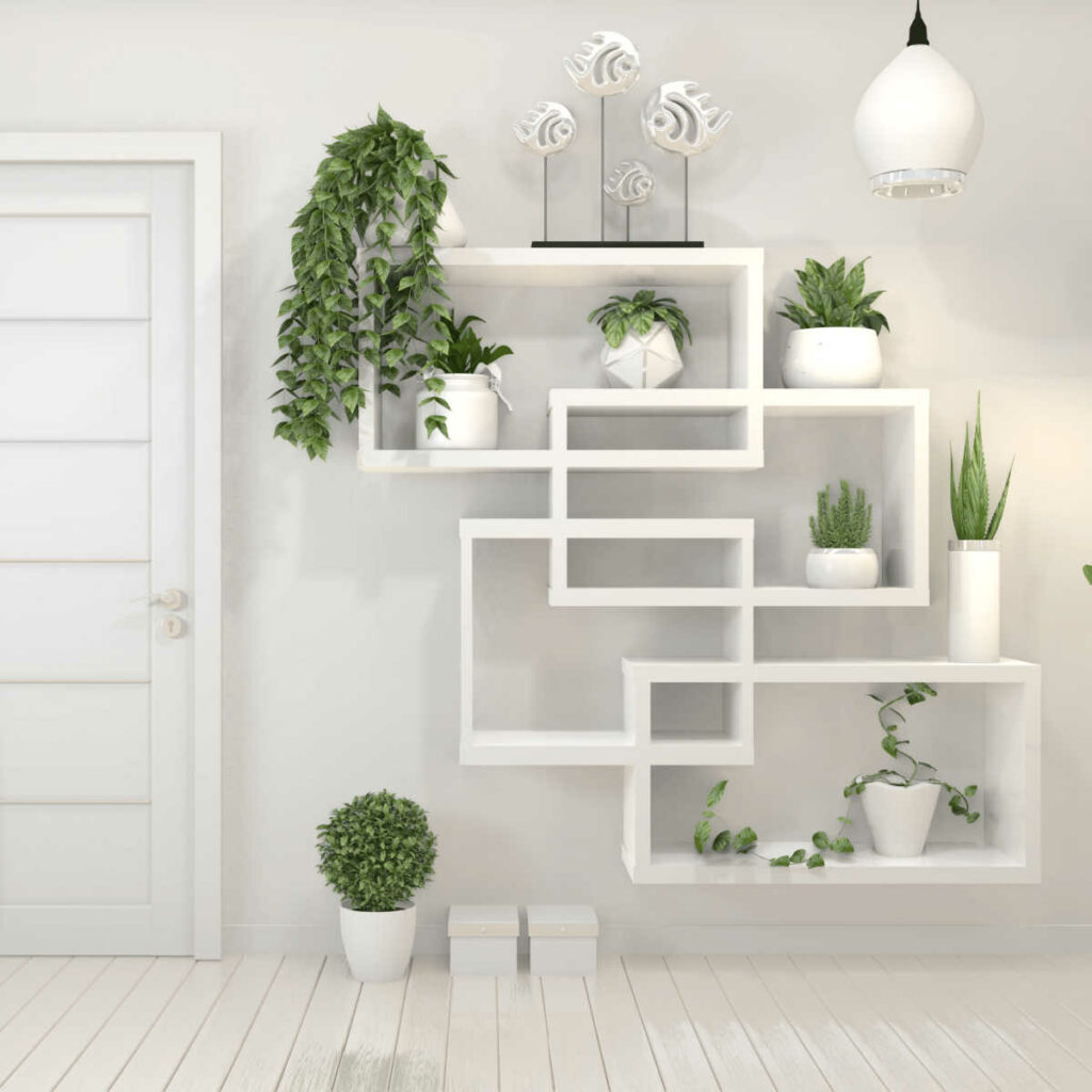 The Best Plants for Baby's Nursery