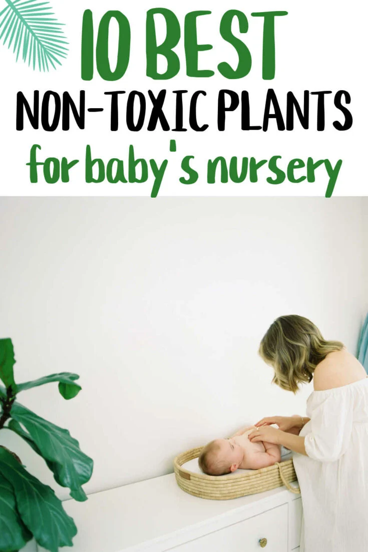 The best plants for baby nursery