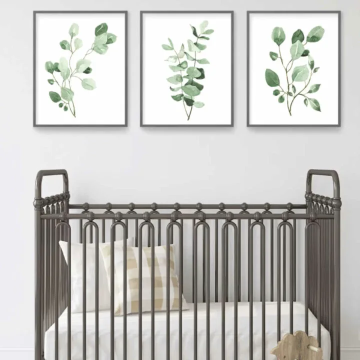 botanical artwork for baby's nursery