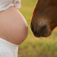 horse pregnancy announcement