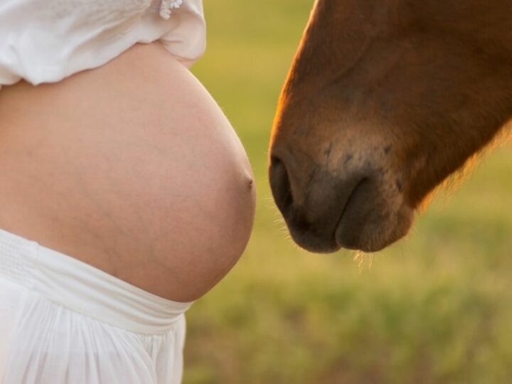 11 Cute Horse Pregnancy Announcement Ideas