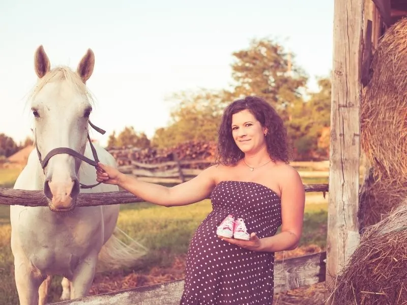 horse pregnancy announcement ideas