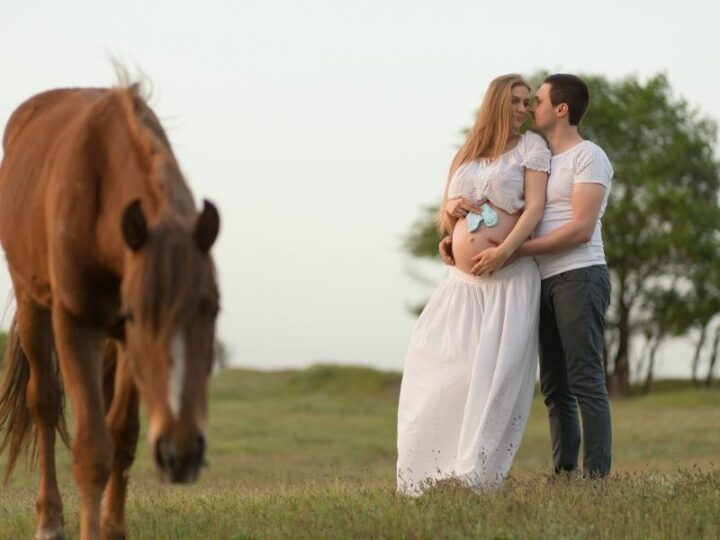11 Cute Horse Pregnancy Announcement Ideas
